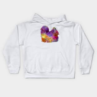 Maltese in watercolor Kids Hoodie